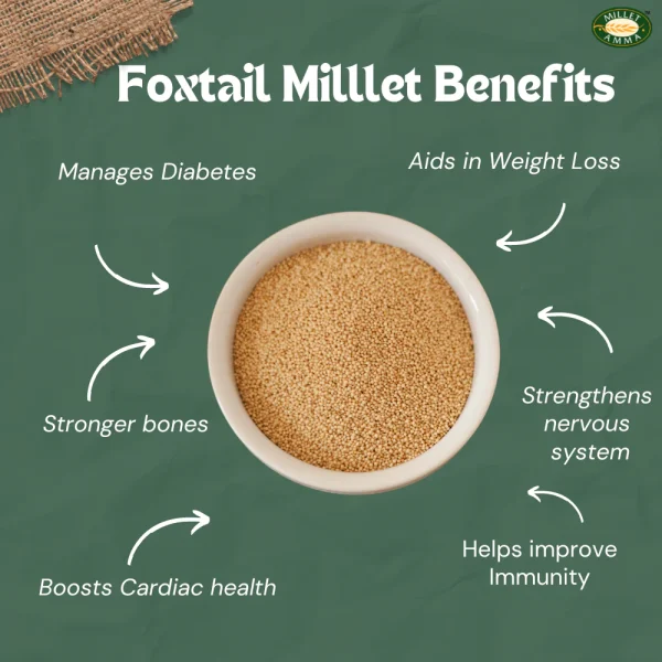 தினை அரிசி  (FOXTAIL MILLET) - Image 3