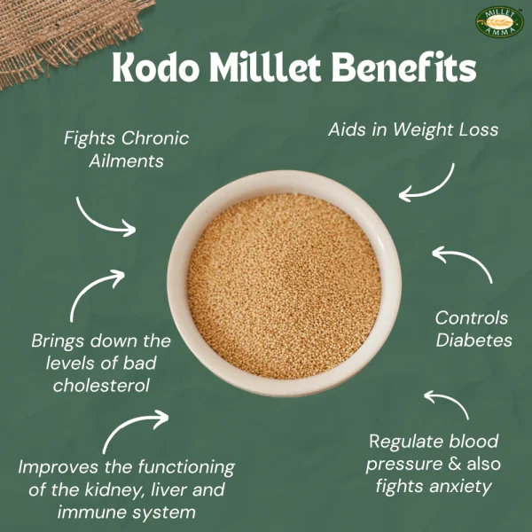 வரகு அரிசி (KODO MILLET) - Image 2