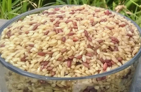 கருடன் சம்பா அரிசி / GARUDAN SAMBA