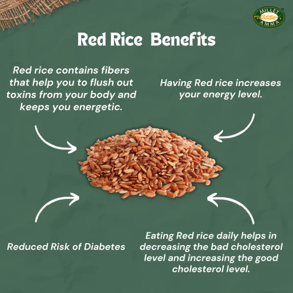 RED RICE / சிவப்பு அரிசி - Image 2