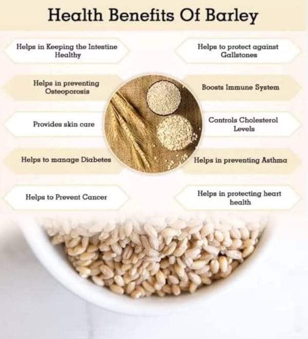 BARLEY RICE / பார்லி அரிசி - Image 2