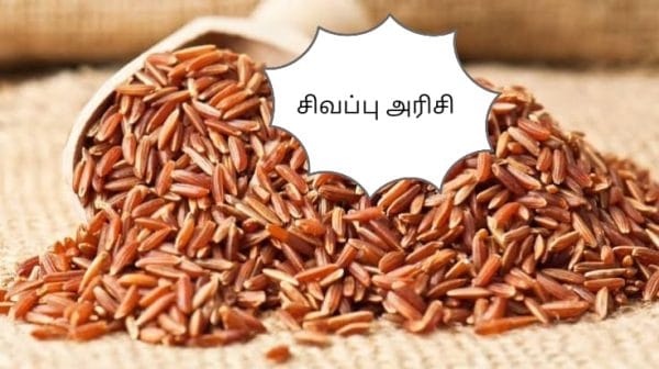INDIVIDUALITY SPECIFIC RICE COMBO PACK (TO GET MULTI PURPOSE & MULTI BENEFITS)பாரம்பரிய தமிழ் அரிசி வகைகளில் சில - Image 4