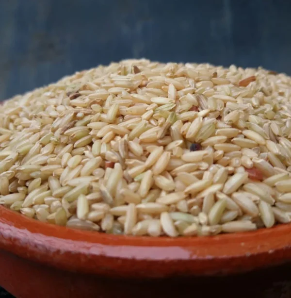 இலுப்பைப்பூ சம்பா அரிசி / ILLUPPAI POO SAMBA RAW