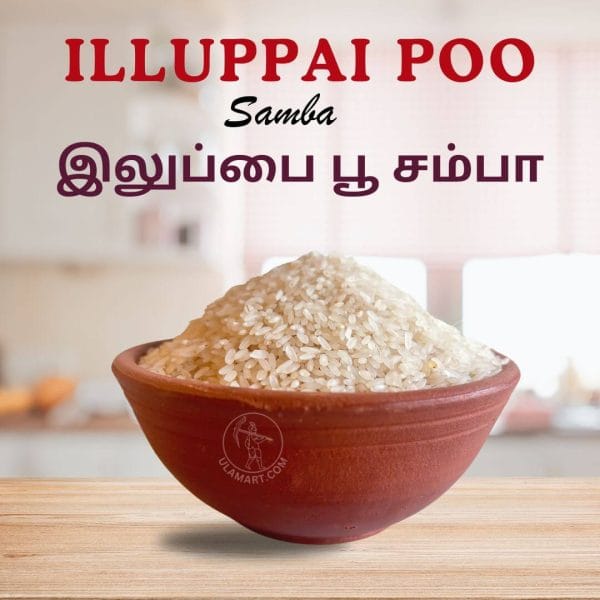 இலுப்பைப்பூ சம்பா / ILLUPPAI POO SAMBA BOILED