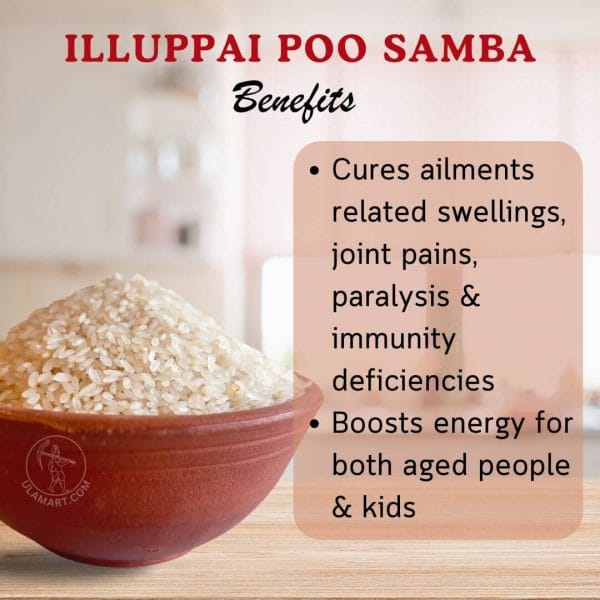 இலுப்பைப்பூ சம்பா / ILLUPPAI POO SAMBA BOILED - Image 2