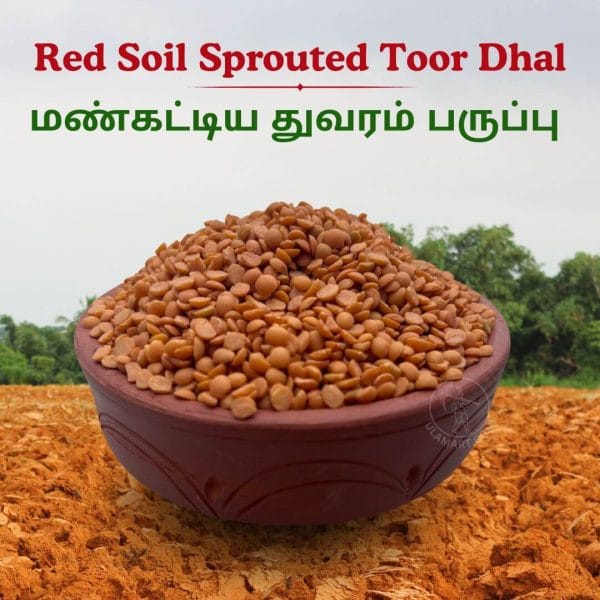 TOOR DAL (RED SOILED) / மண்கட்டிய துவரம் பருப்பு